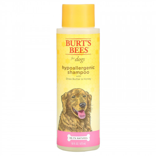 Burt's Bees, Гипоаллергенный шампунь для собак с маслом ши и медом, 473 мл (16 жидк. Унций)