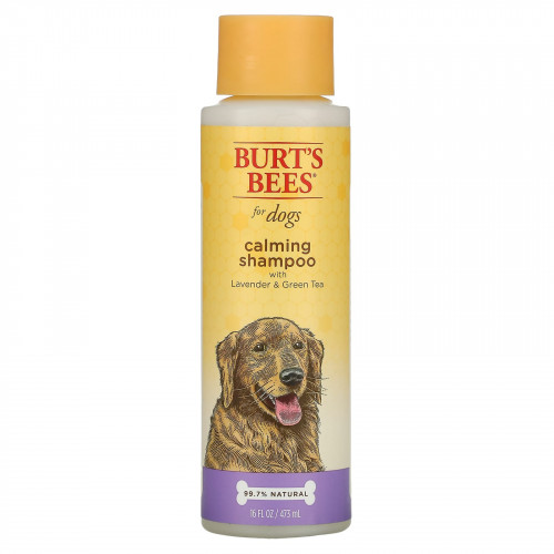 Burt's Bees, Успокаивающий шампунь для собак с лавандой и зеленым чаем, 473 мл (16 жидк. Унций)