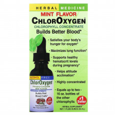 Herbs Etc., ChlorOxygen, концентрат хлорофилла, без спирта, аромат мяты, 29,5 мл