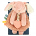 itzy ritzy, Itzy Lovey, Plush Lovey With силиконовый прорезыватель, для детей от 0 месяцев, Ana The Bunny, 1 прорезыватель для зубов