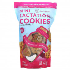 Mommy Knows Best, Mini Lactation Cookies, Chocolate Chip, 10 oz (570 g)