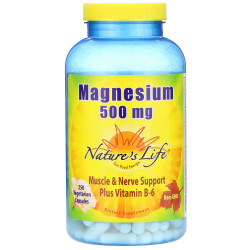 Nature's Life, магний, 500 мг, 250 вегетарианских капсул