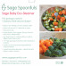 Sage Spoonfuls, Baby, Eco Steamer, 1 шт.