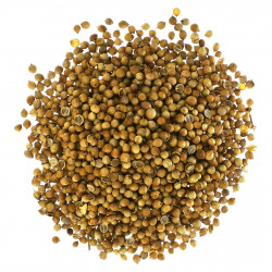 Starwest Botanicals, Органические семена кориандра, 453,6 г (1 фунт)