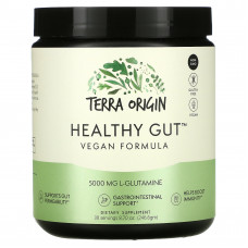 Terra Origin, Healthy Gut, веганская формула, 246,6 г (8,7 унции)